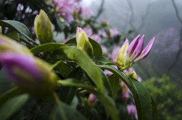 _DSC0424