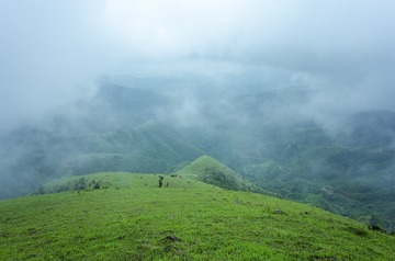 _DSC0298