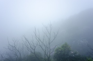 _DSC0417