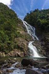_DSC0635