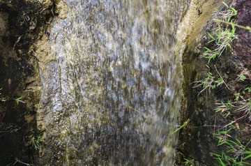 _DSC0131