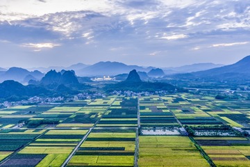 _DSC2584-01