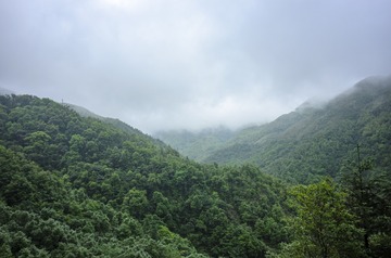 _DSC0115