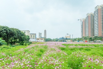 20190406_1201_ZLH1273_0295