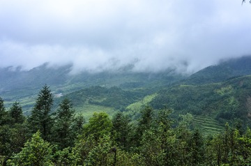 _DSC0591