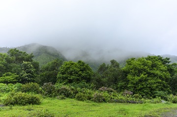_DSC0072