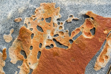 20181103_0528_antumu