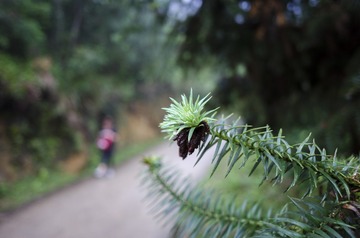 _DSC0600