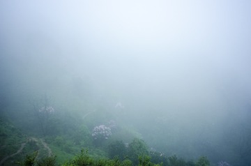 _DSC0465_1