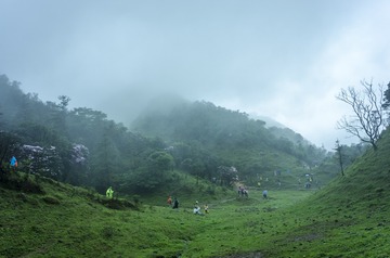 _DSC0318