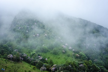 _DSC0519_1