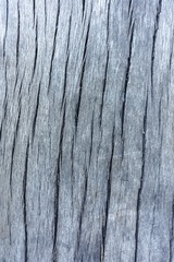 _DSC0289