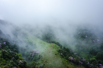 _DSC0507_1