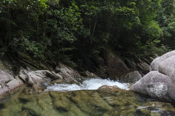 _DSC0300