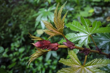 _DSC0160