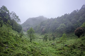 _DSC0240