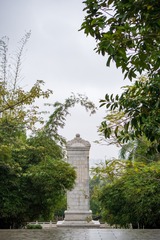 _ZLH8113