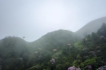 _DSC0433