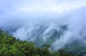 _DSC0586
