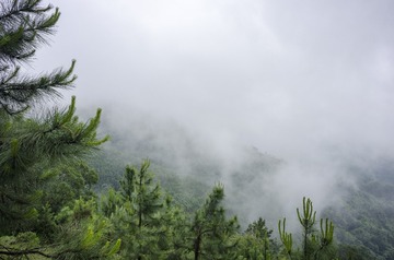 _DSC0051