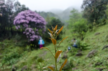_DSC0190