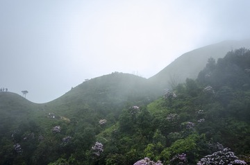 _DSC0432