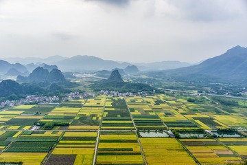 _ZLH4689