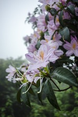 _DSC0357