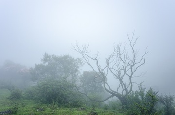 _DSC0540