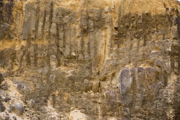 20181103_0021_antumu