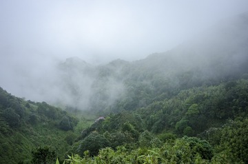 _DSC0247