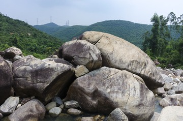 _DSC0124