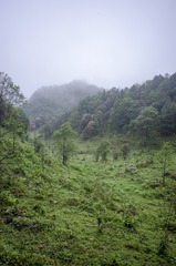 _DSC0241