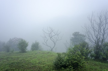 _DSC0410