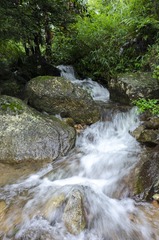 _DSC0140
