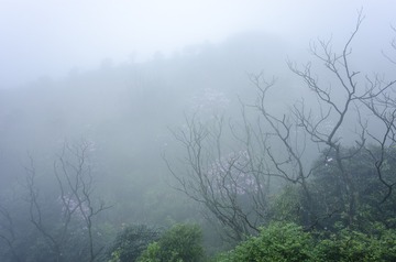 _DSC0419