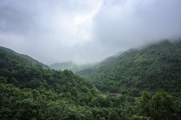 _DSC0113