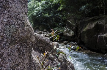 _DSC0361