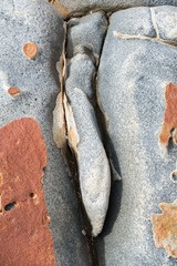 20181103_0536_antumu