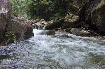 _DSC0334