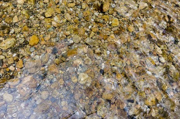 _DSC0130