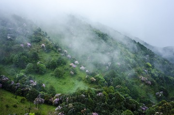 _DSC0511_1