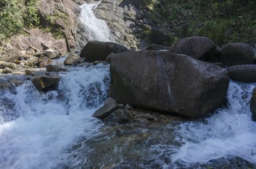 _DSC0558