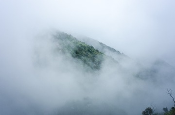 _DSC0496_1