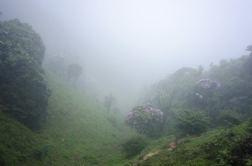 _DSC0355