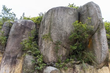 20181103_0039_antumu