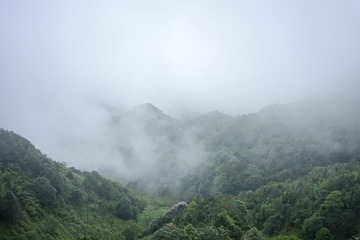 _DSC0246