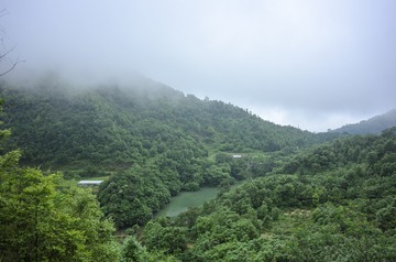 _DSC0117