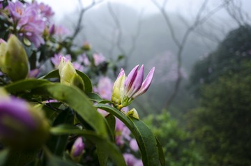 _DSC0422