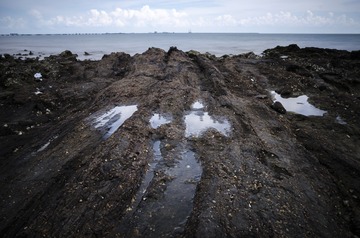 _DSC0086